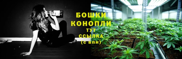 мет Бородино