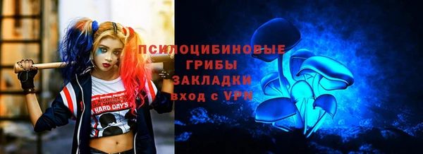 мет Бородино