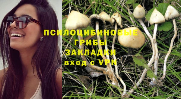 круглые Бронницы