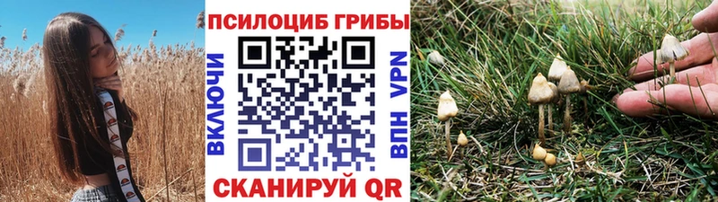 Псилоцибиновые грибы мухоморы  Купить  Коломна 